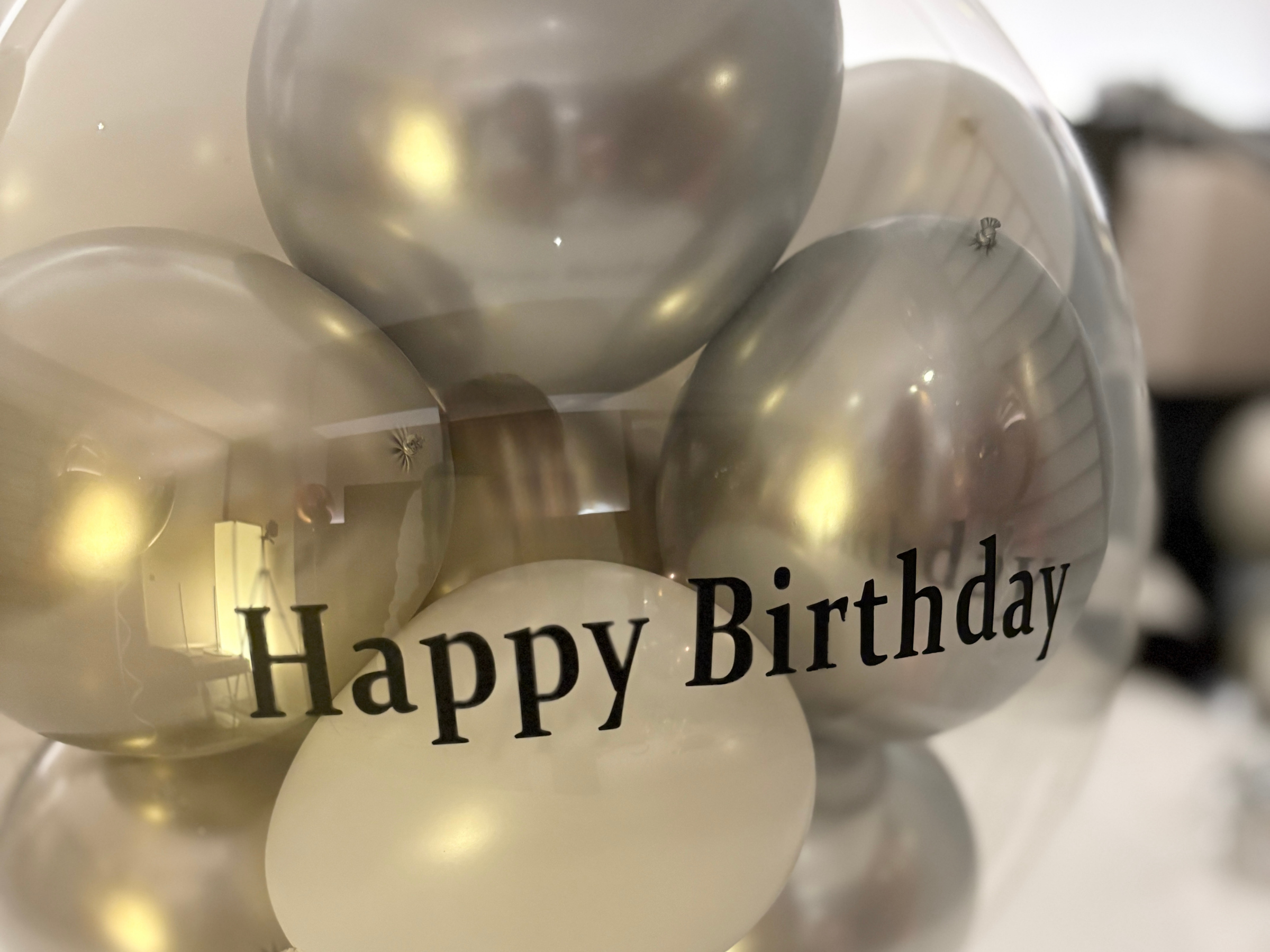 ホテルサプライズプラン - モダン - (シルバー)