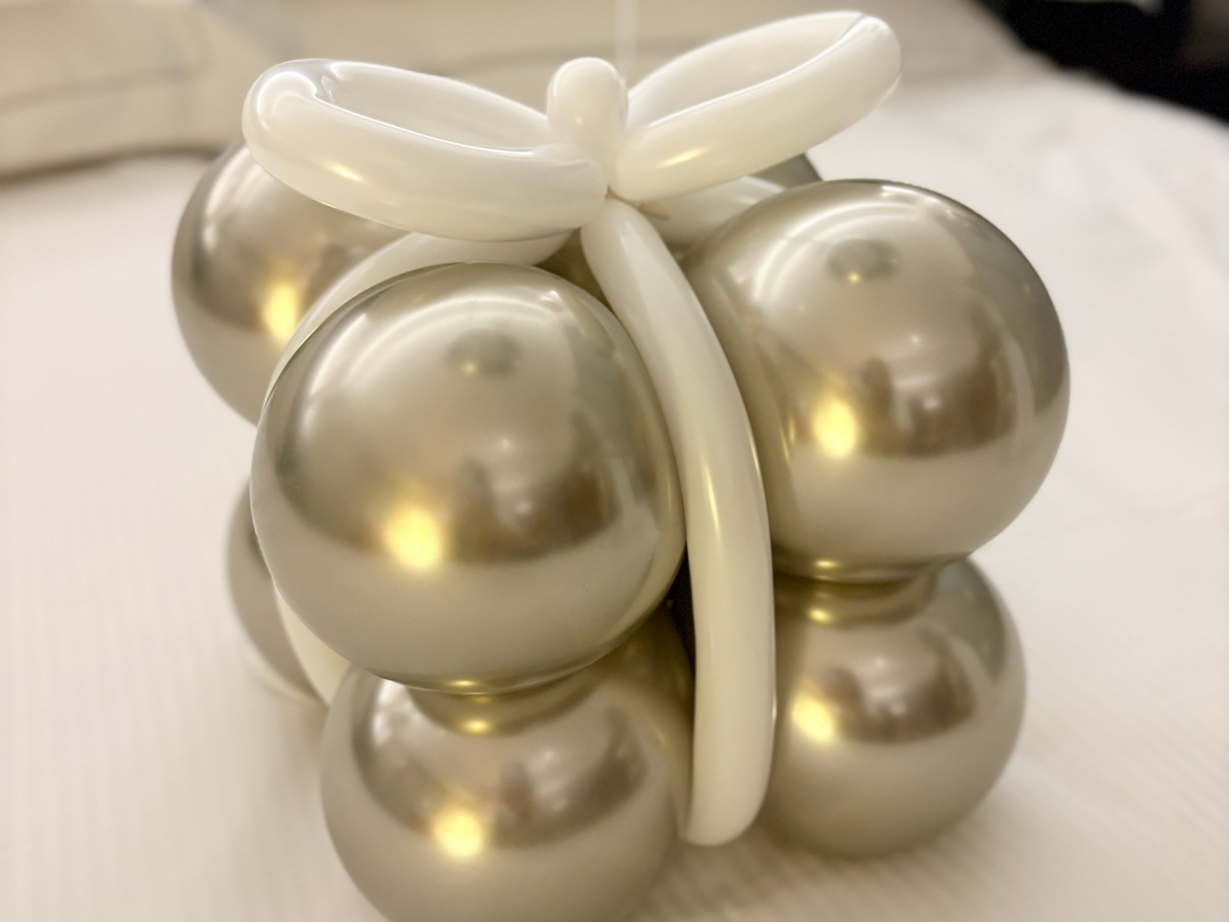 ホテルサプライズプラン - モダン - (シルバー)