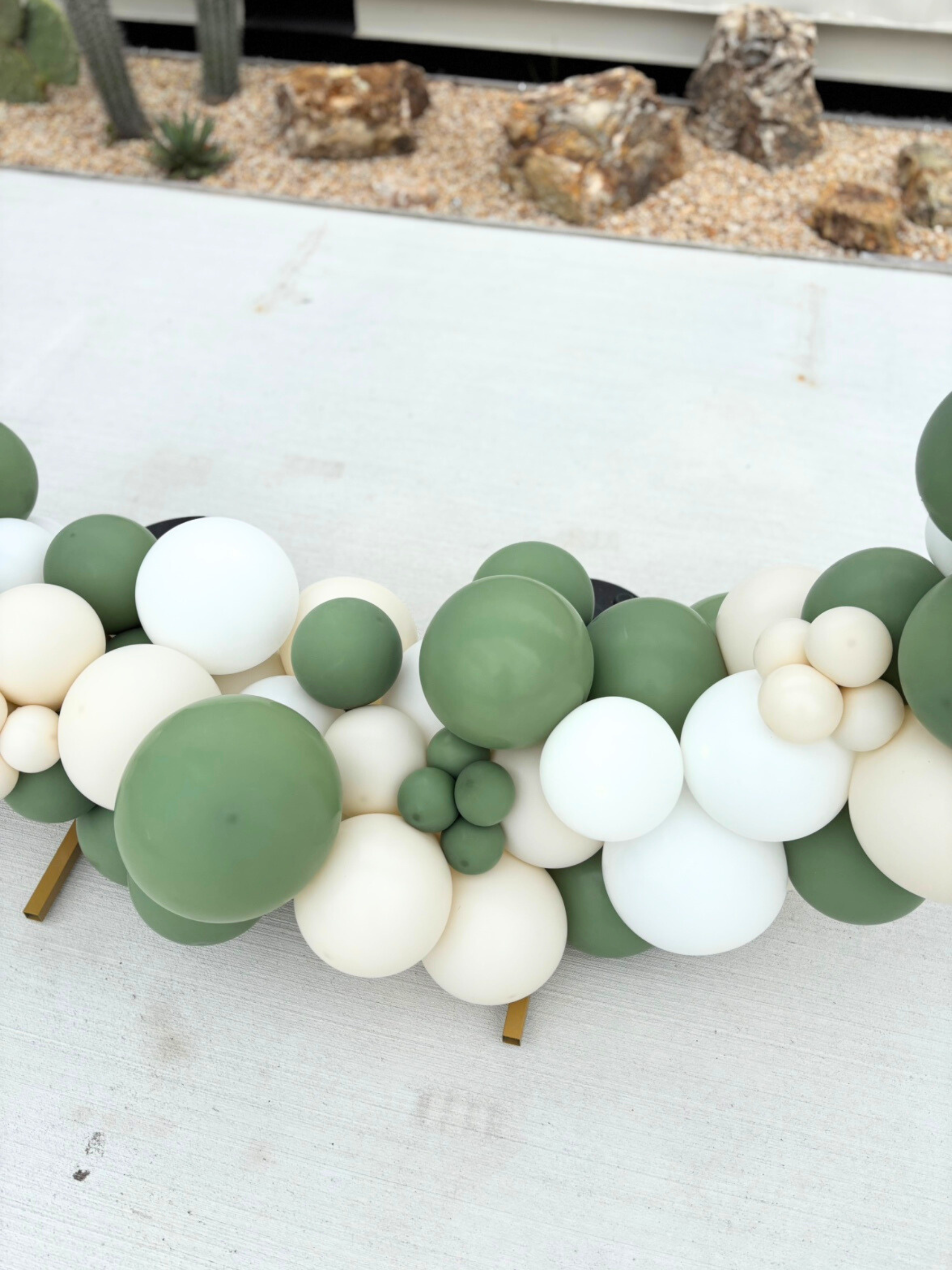 リングバルーン(ユーカリ)