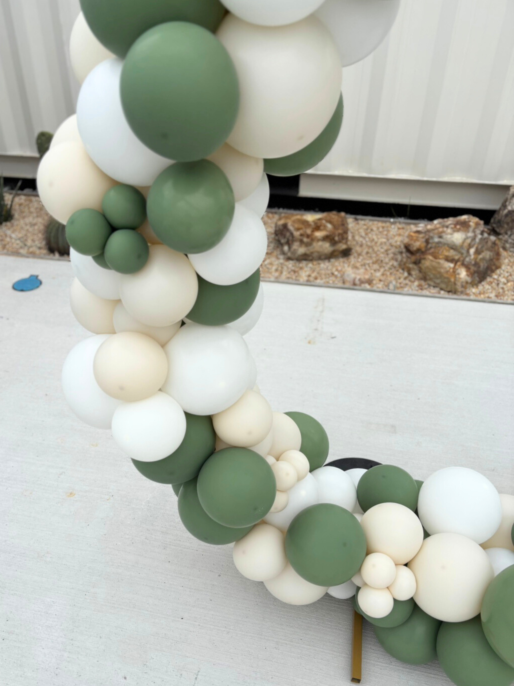 リングバルーン(ユーカリ)