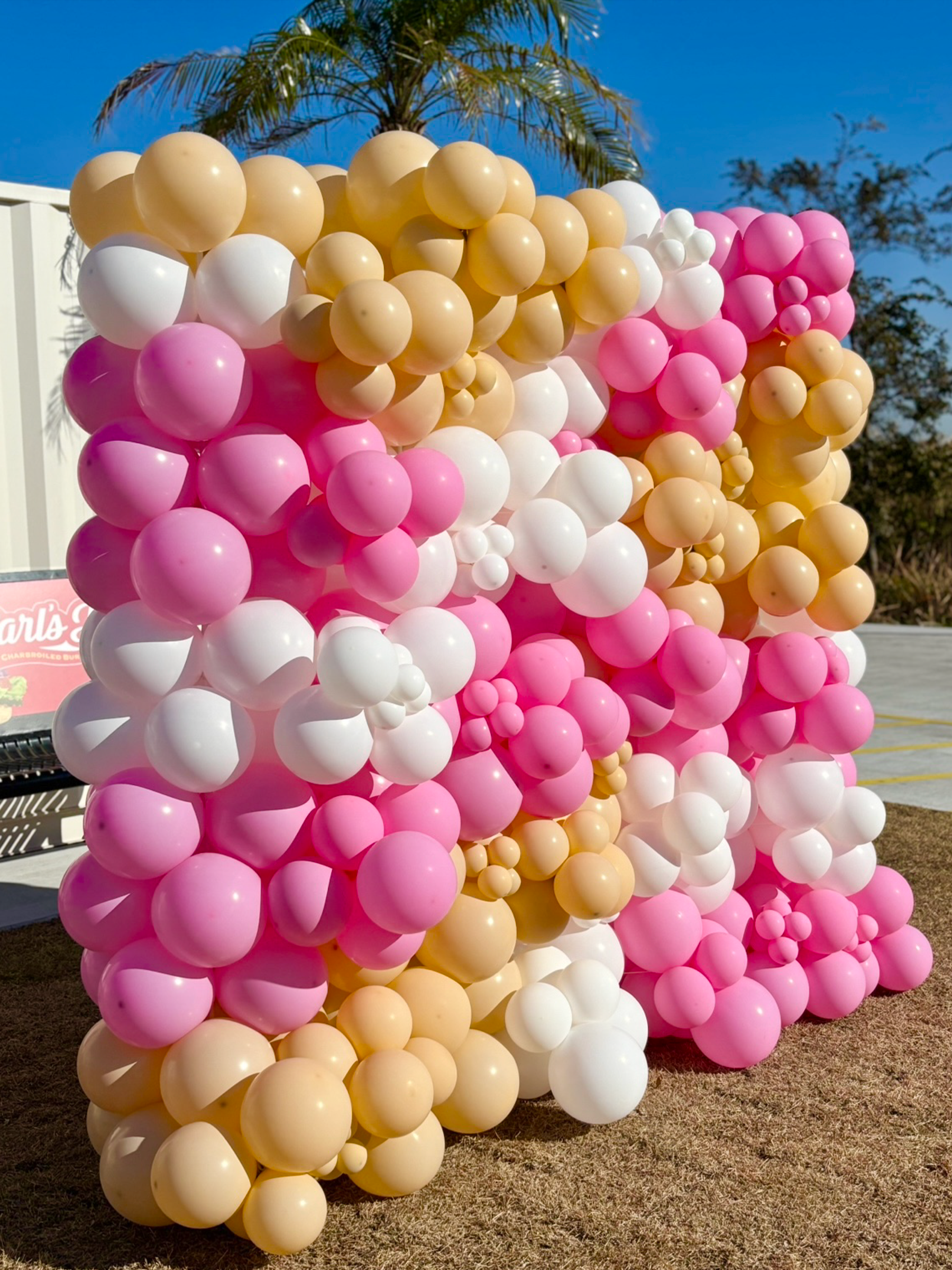 バルーンウォールデコ (ピンク/ホワイト)