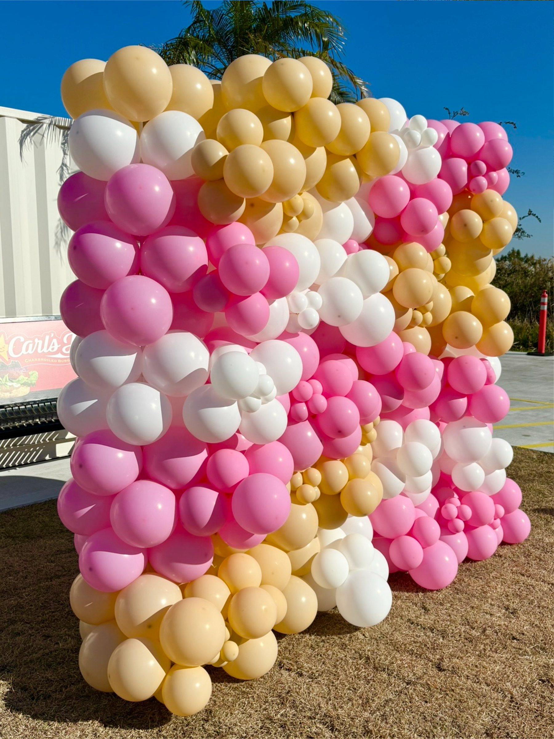 バルーンウォールデコ (ピンク/ホワイト)