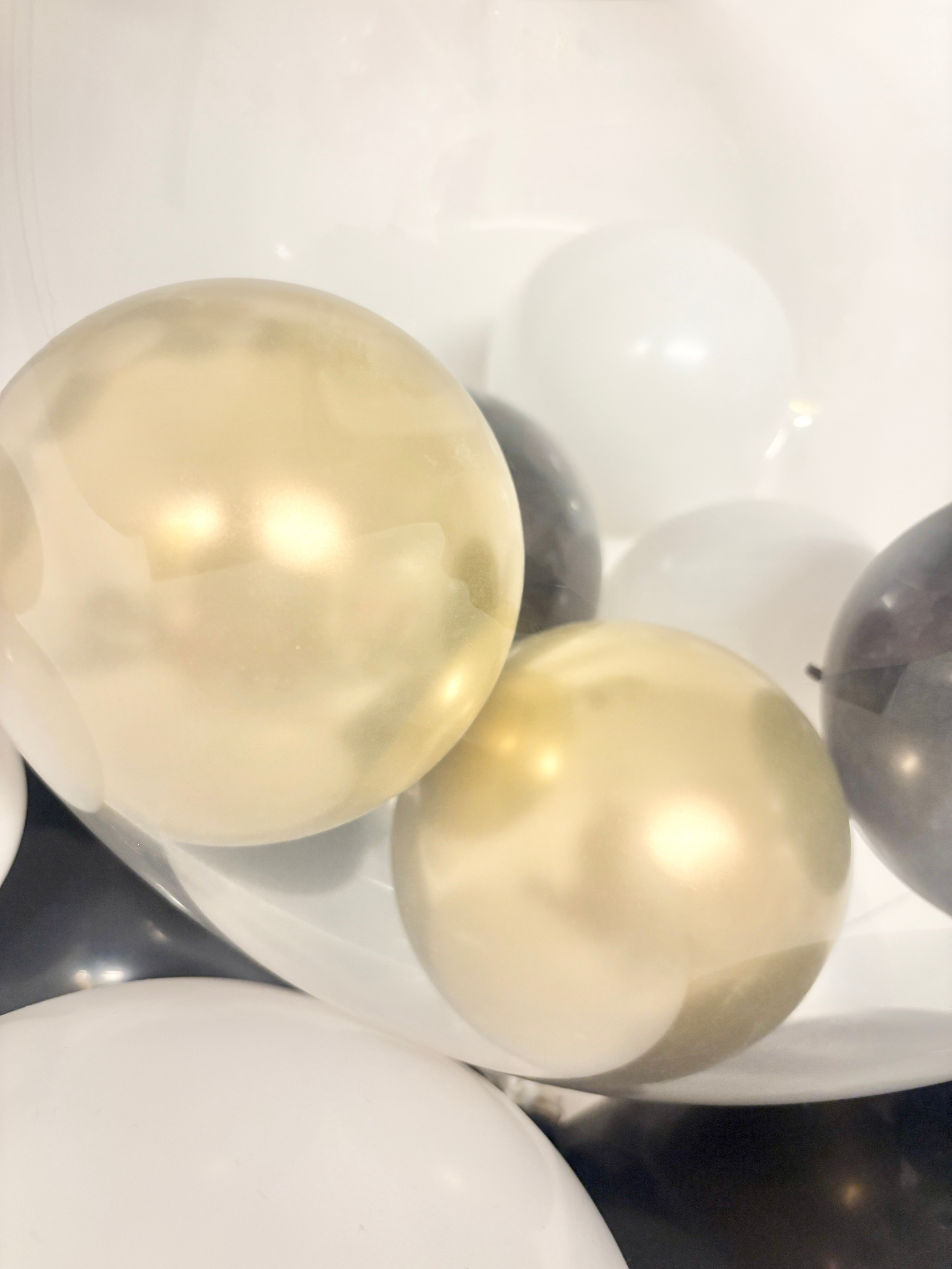 #色_ブラック/ゴールド