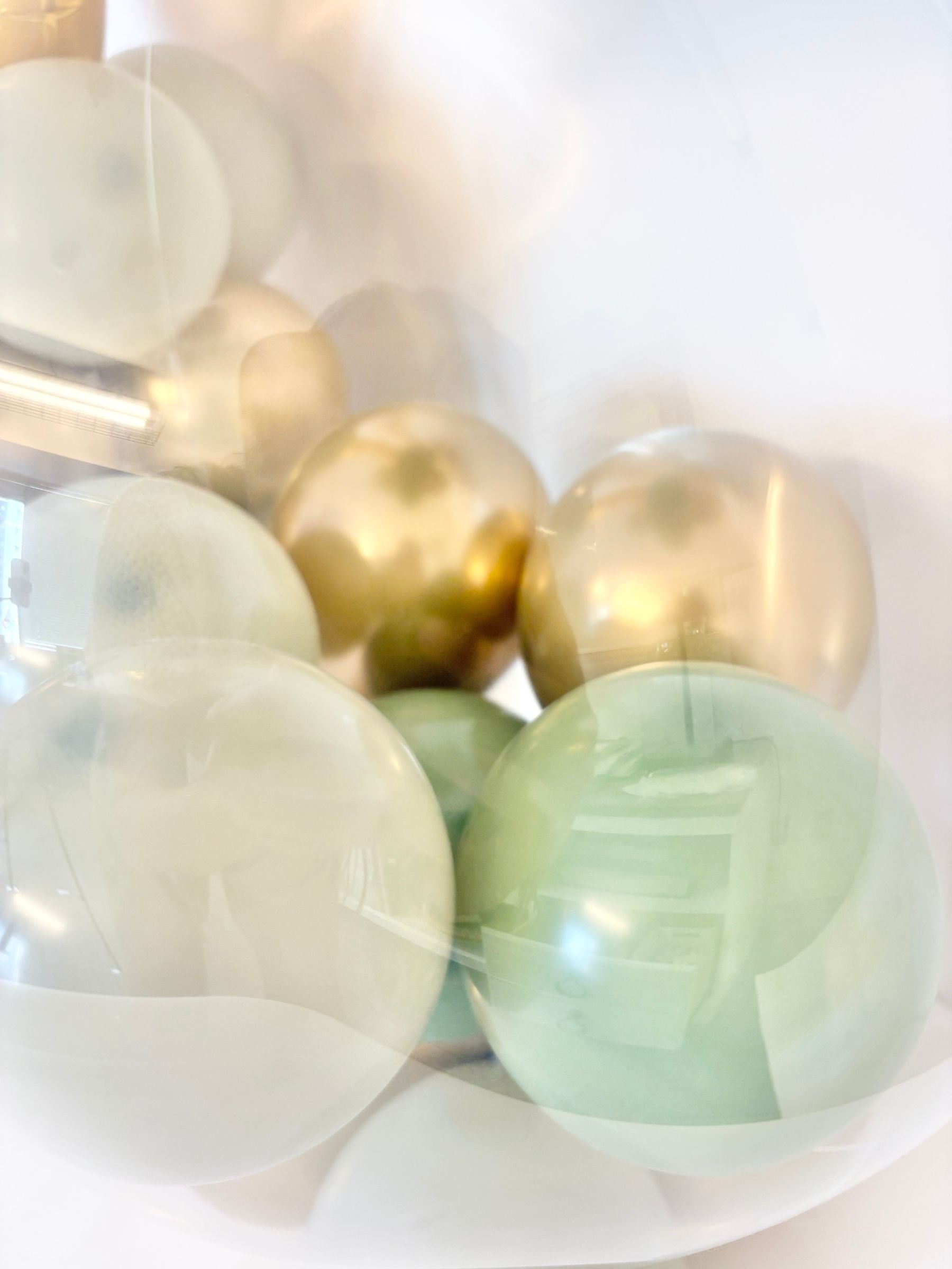 #色_ユーカリ/ゴールド