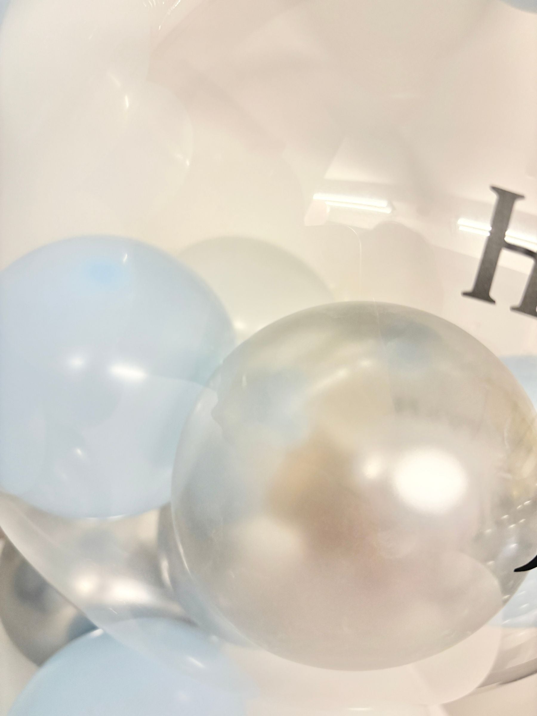 #色_マカロンブルー/ホワイト