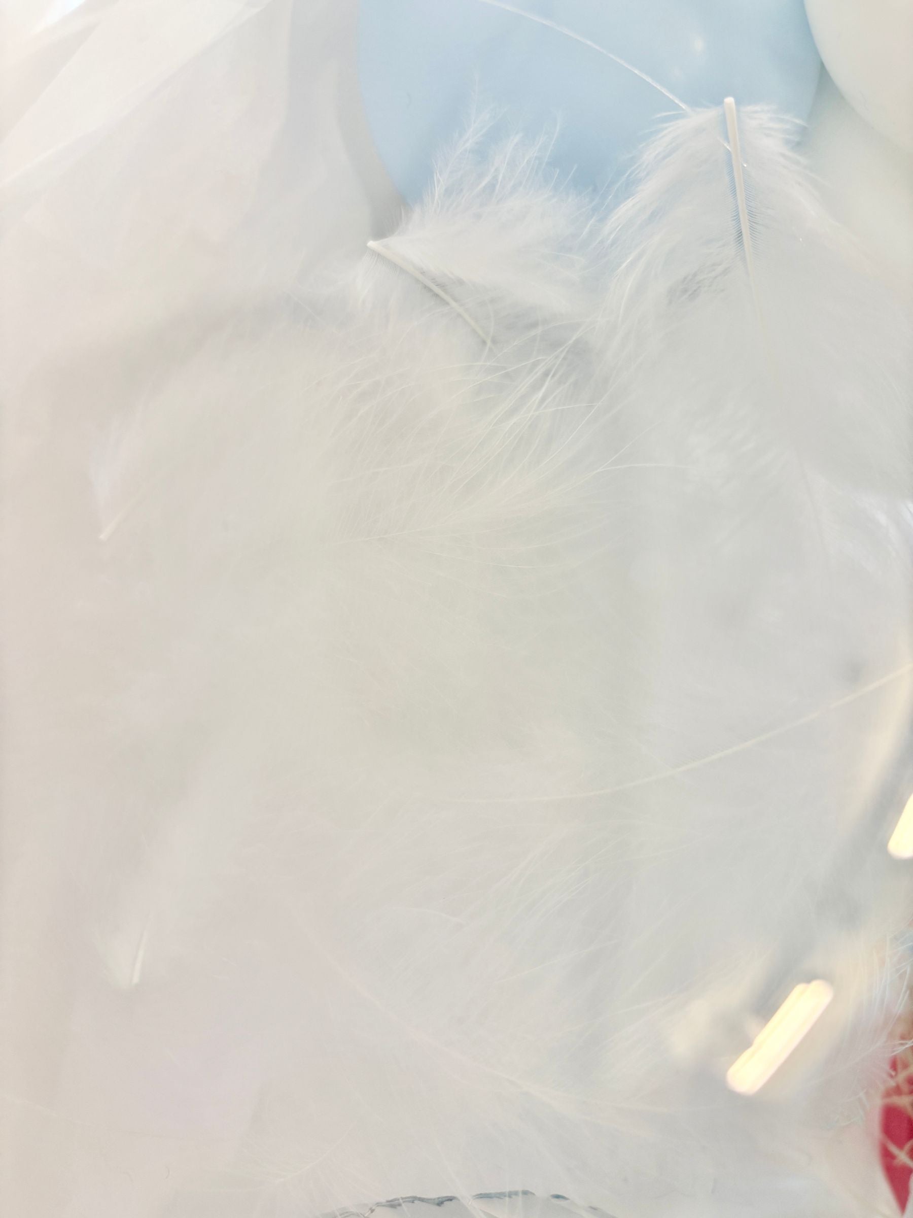 #色_マカロンブルー