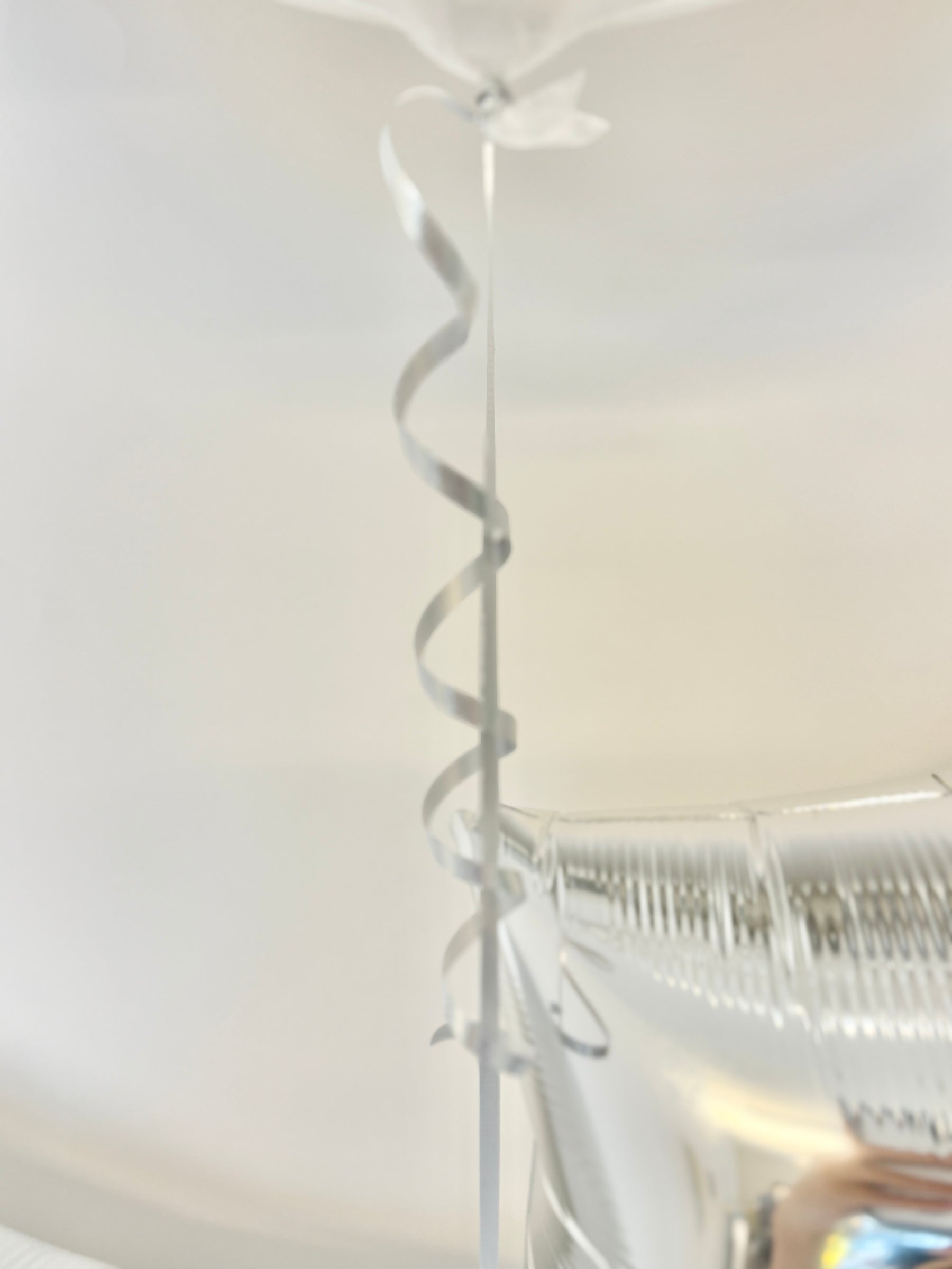 #色_ホワイト/シルバー