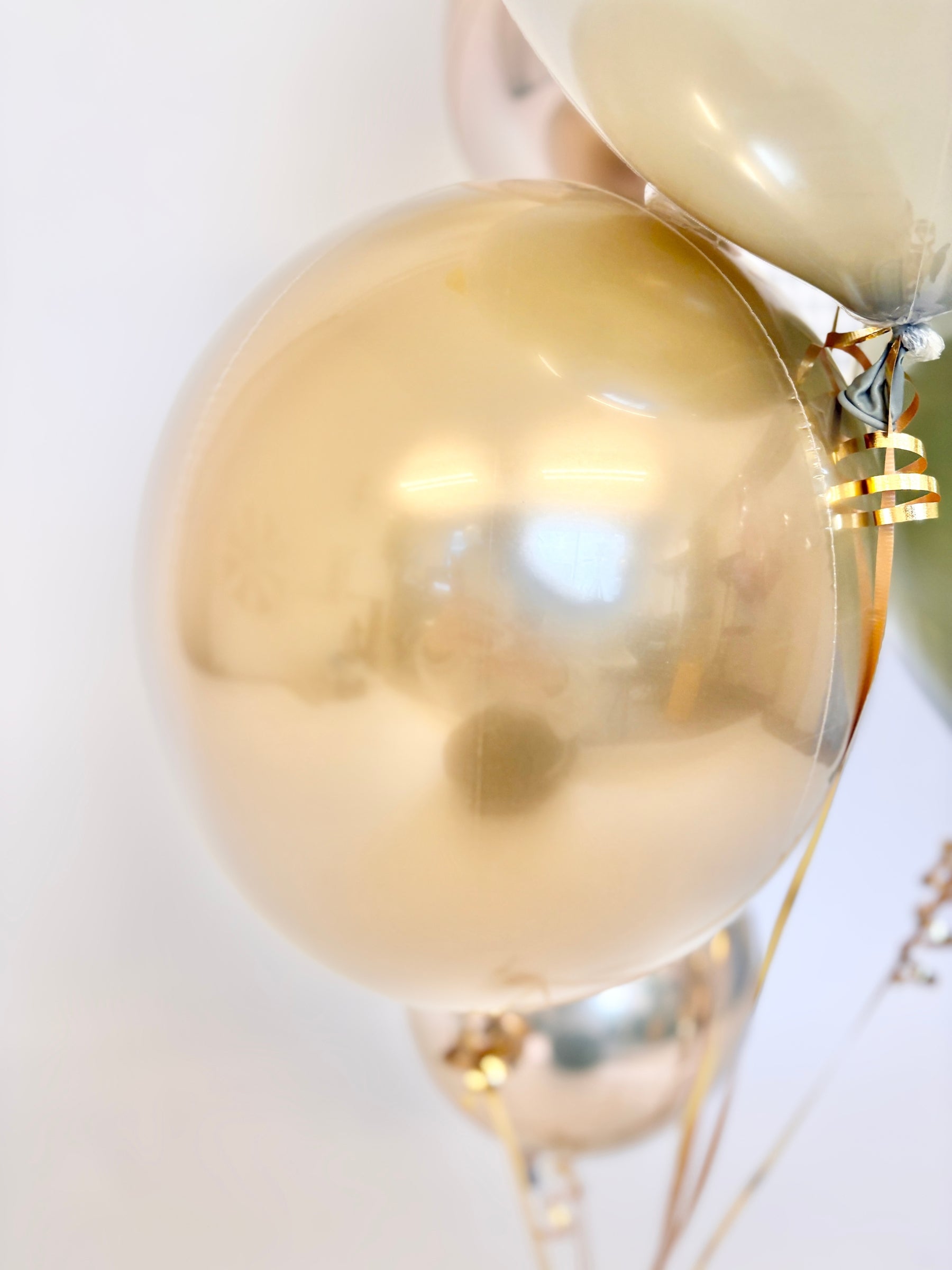 #色_ユーカリ/ゴールド