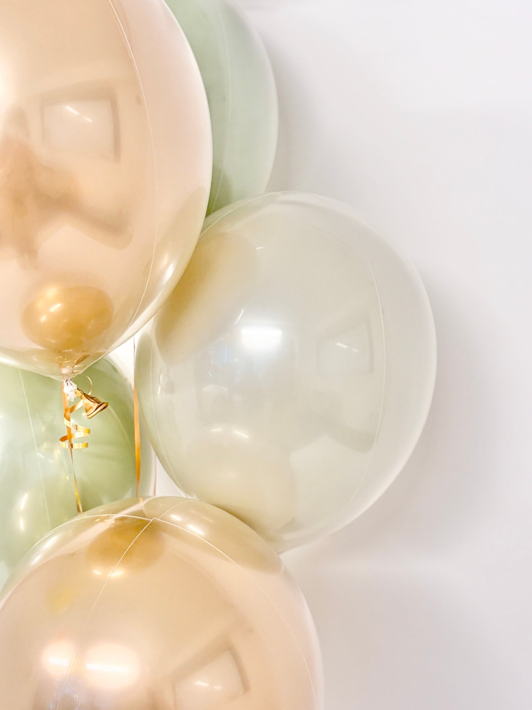 #色_ユーカリ/ゴールド