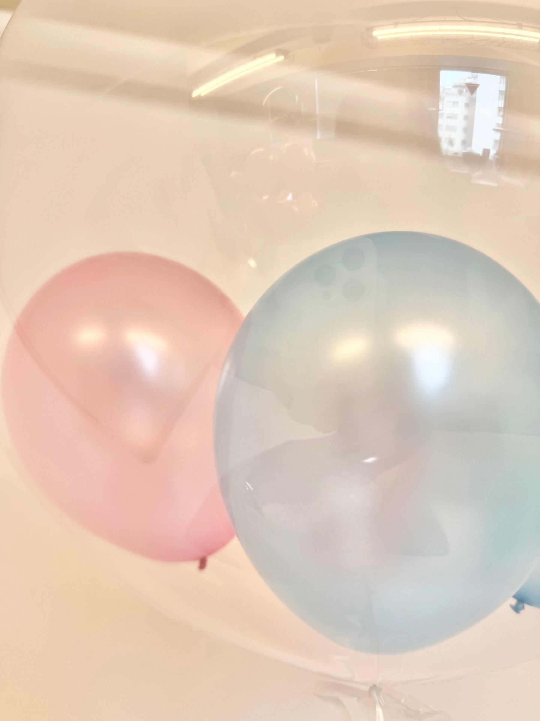 #色_ピンク/ライトブルー