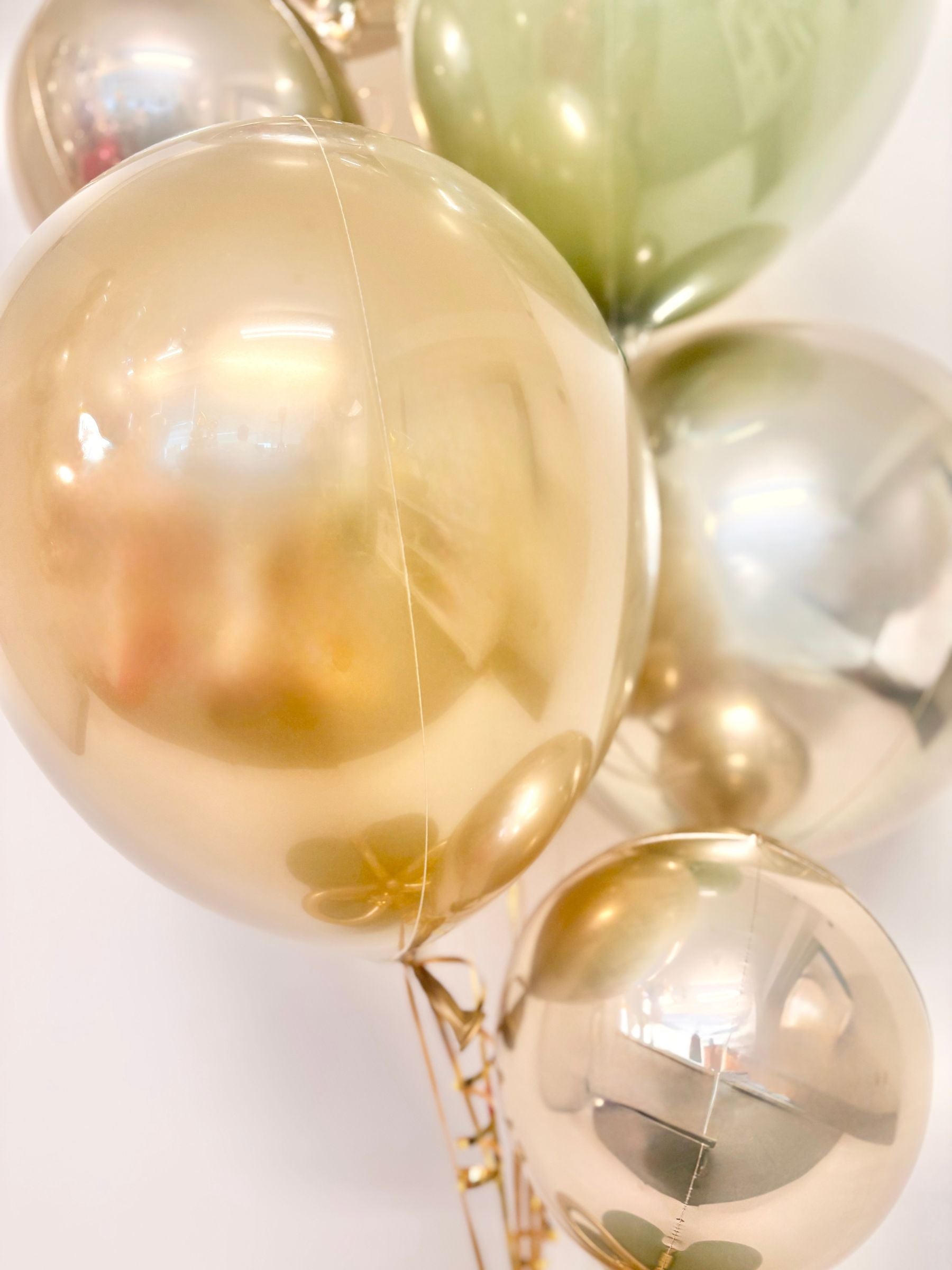 #色_ユーカリ/ゴールド