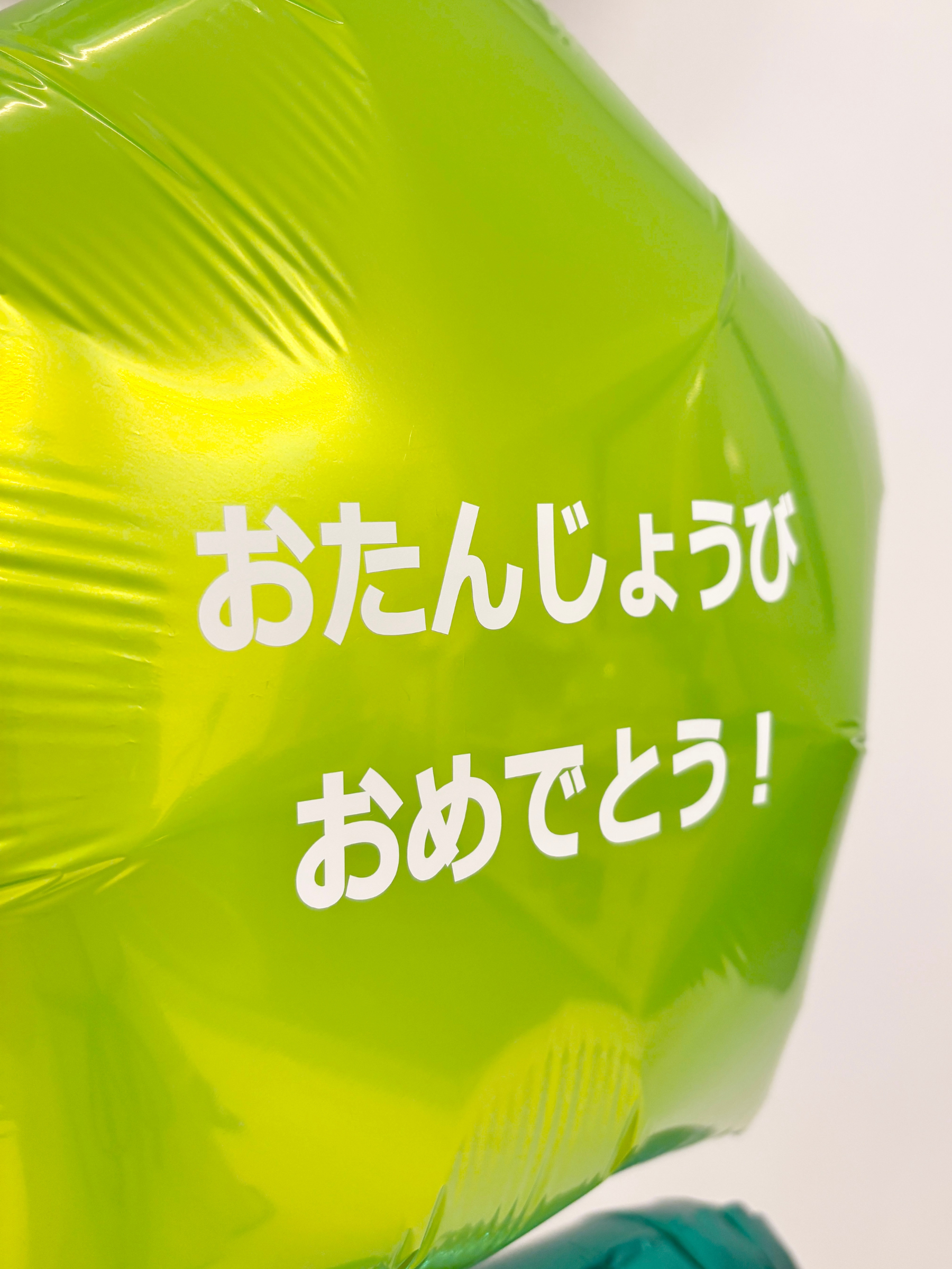 ダイナソーナンバーオブジェ