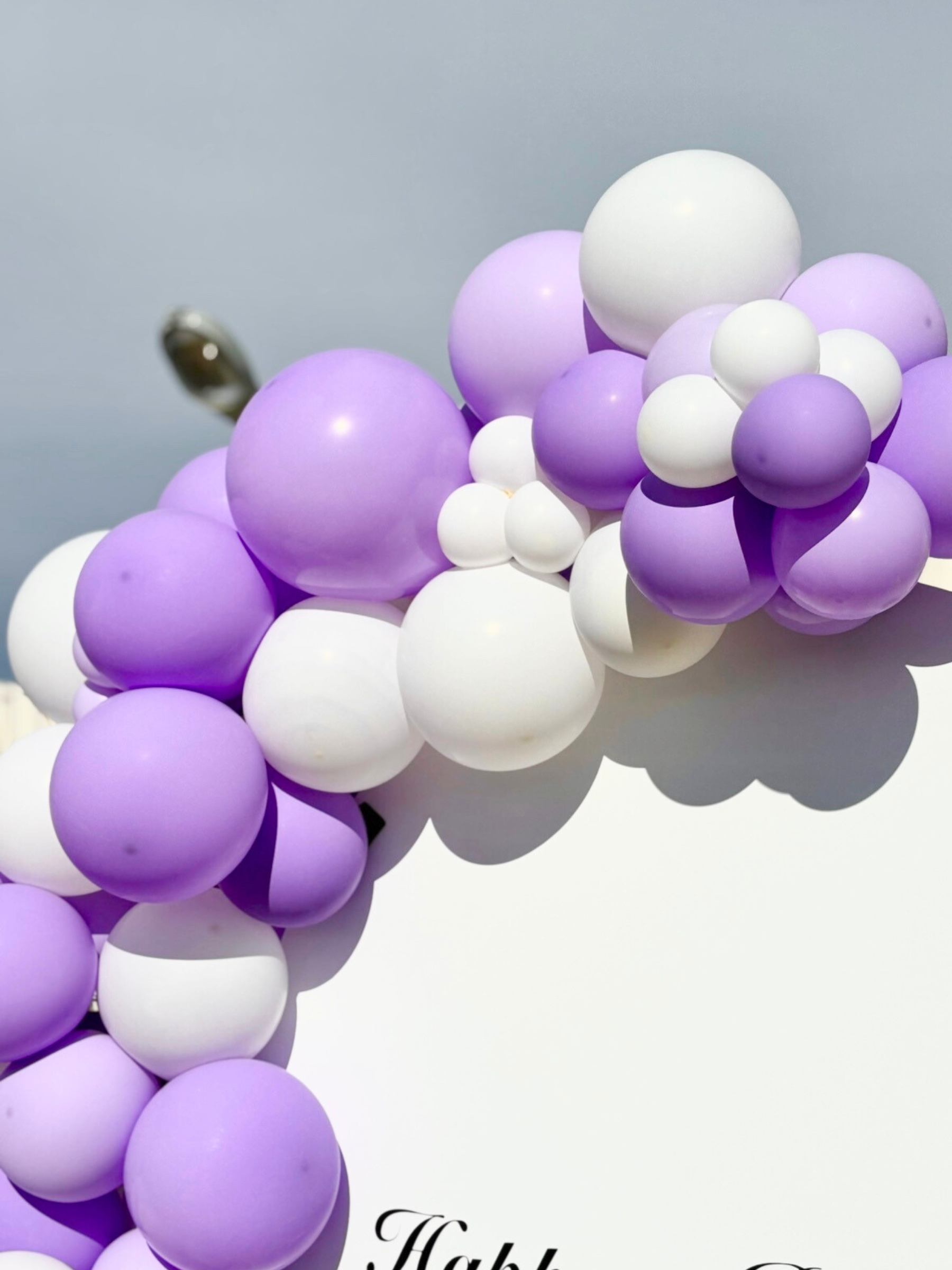 バックドロップ＋バルーンガーランド (マカロンライラック)