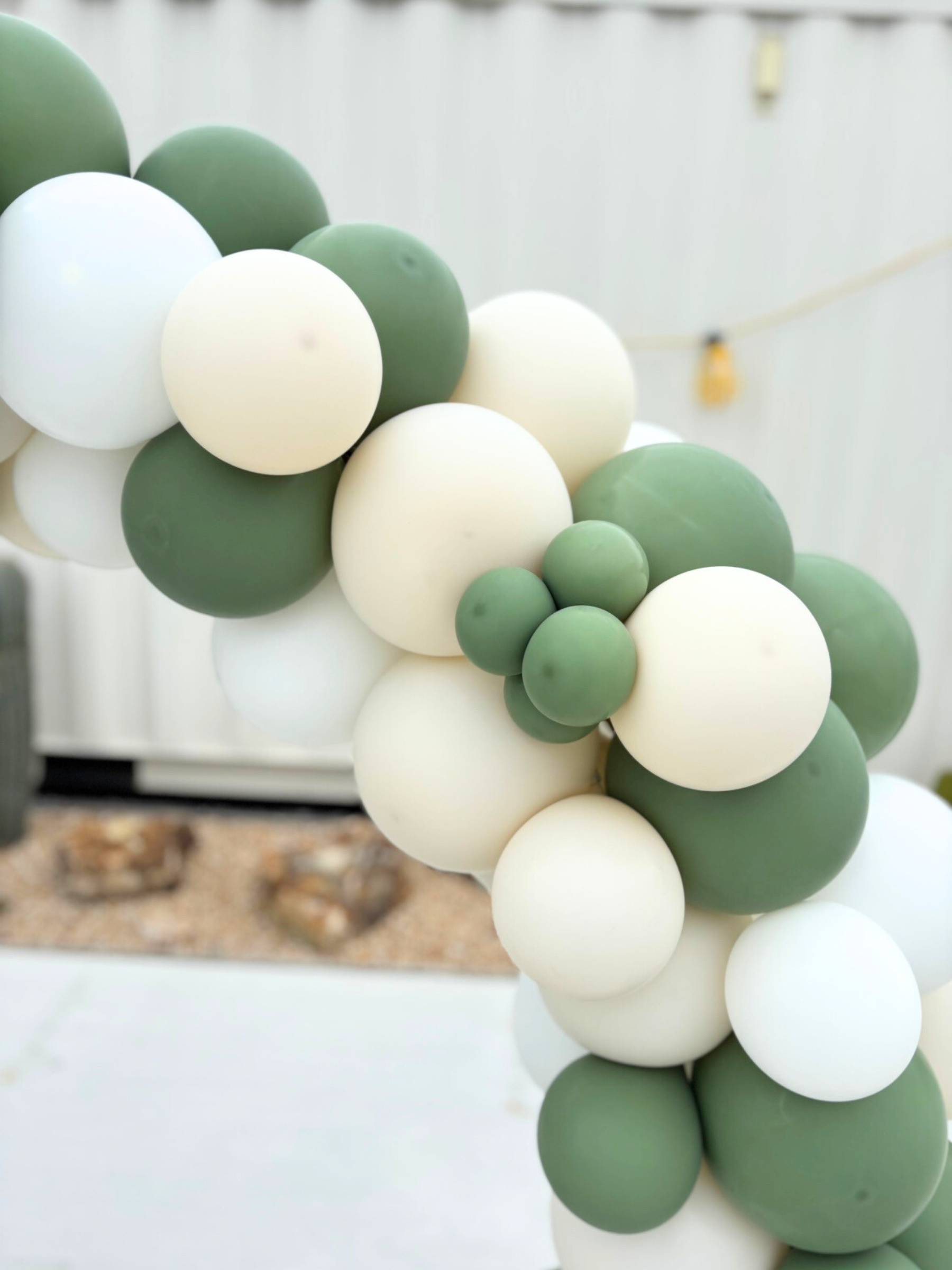 リングバルーン（ユーカリ）