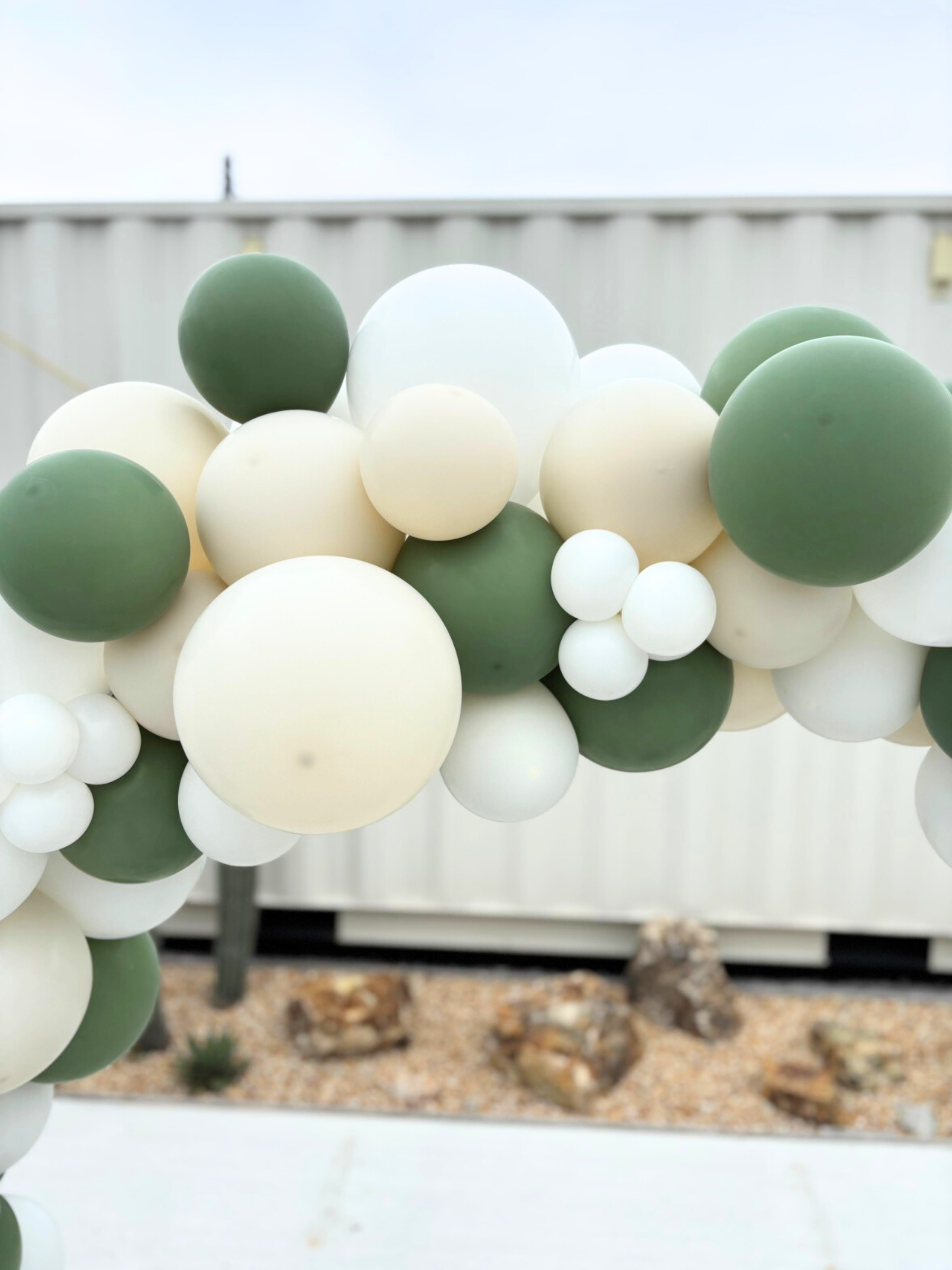 リングバルーン（ユーカリ）