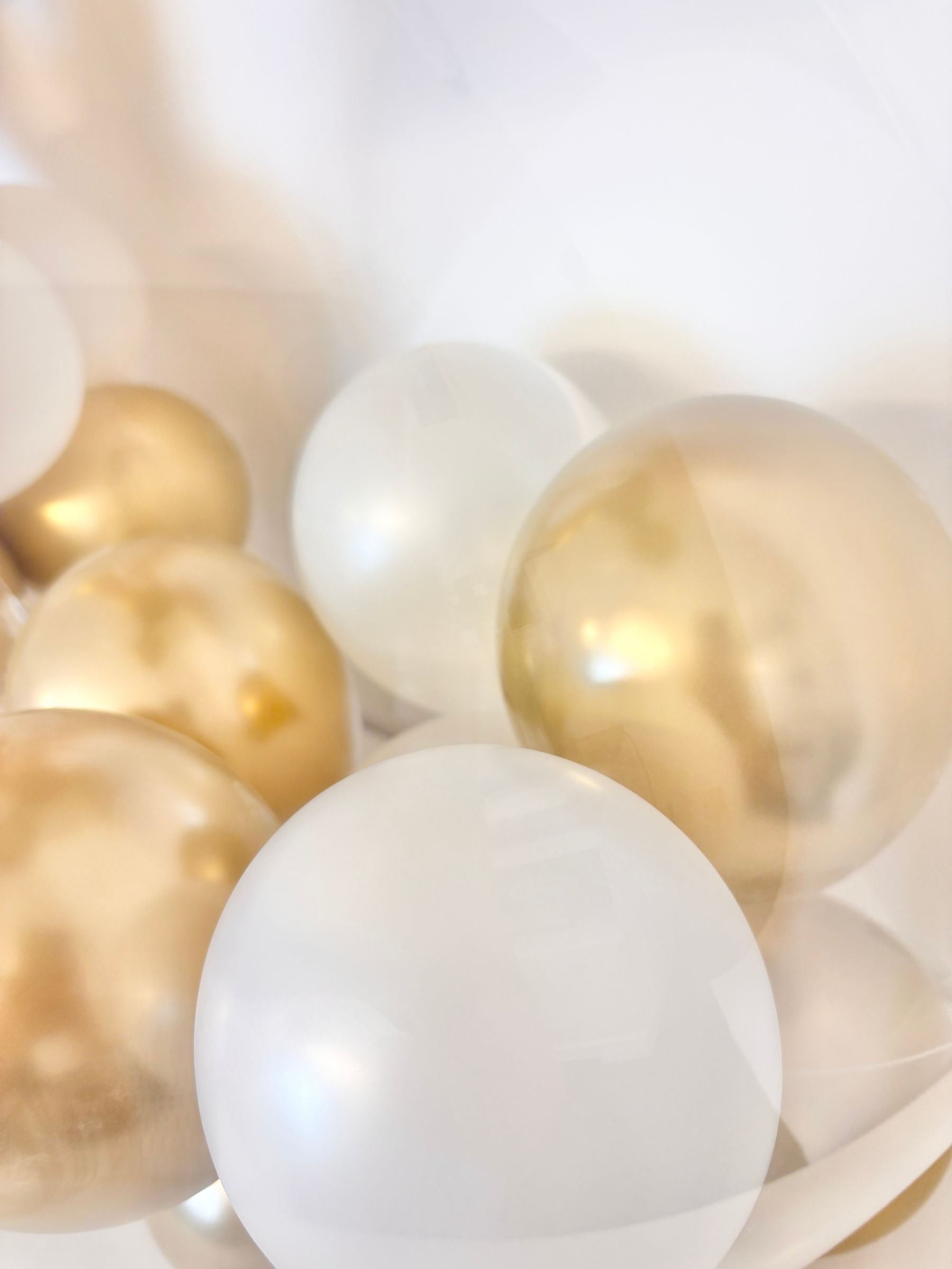 #色_ゴールド/ホワイト