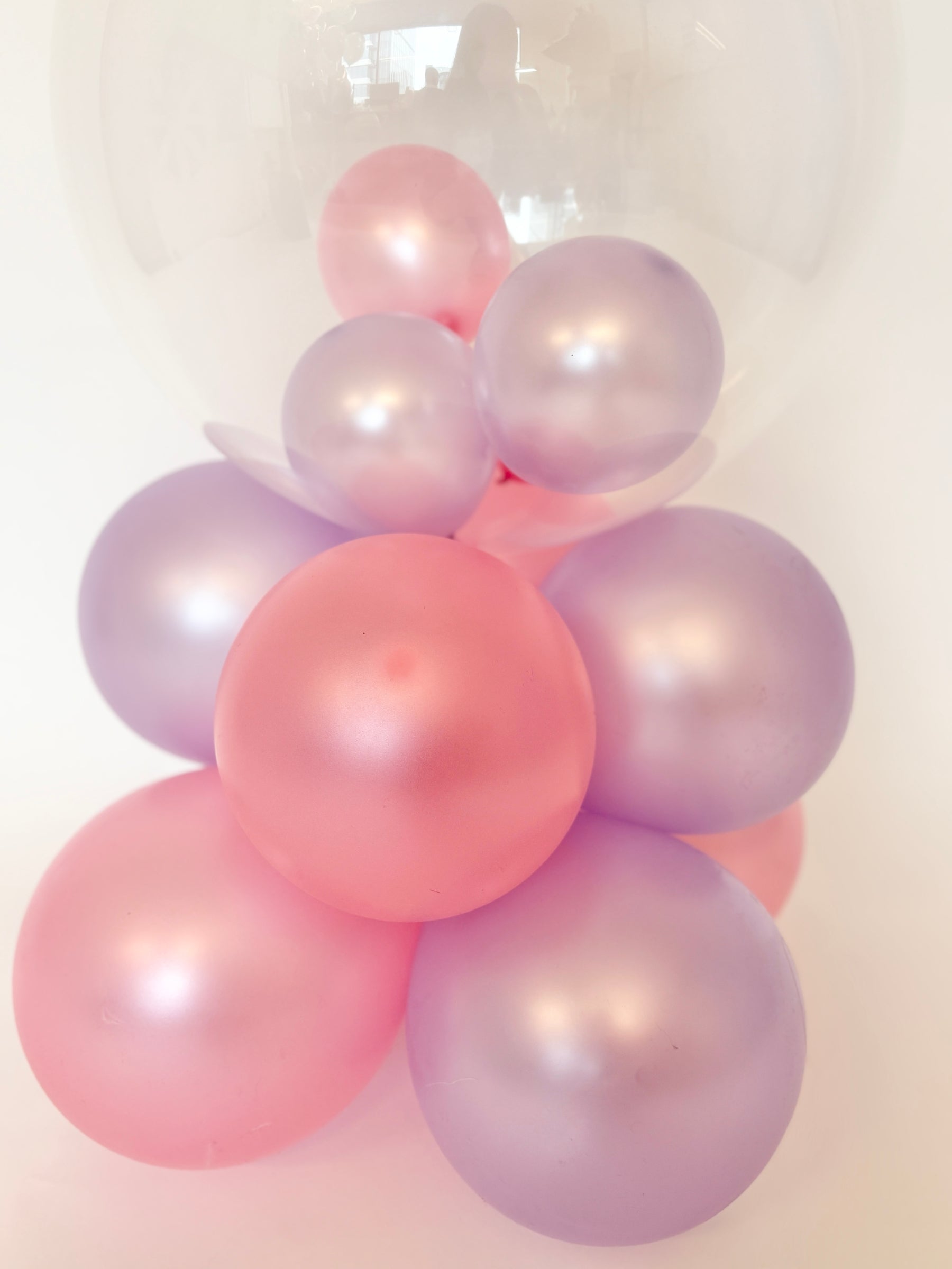 アニマルパーティー(うさぎ)