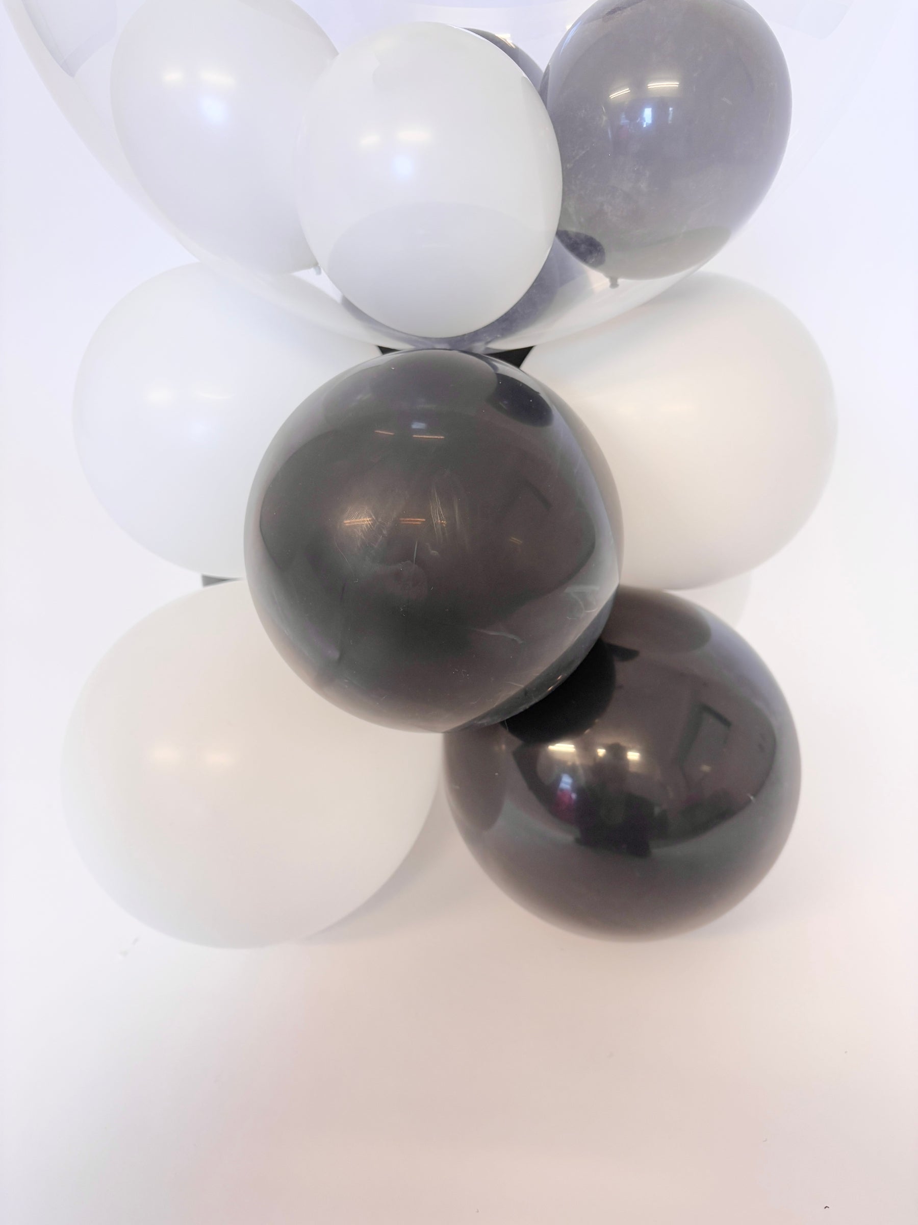 アニマルパーティー(フレンチブル)