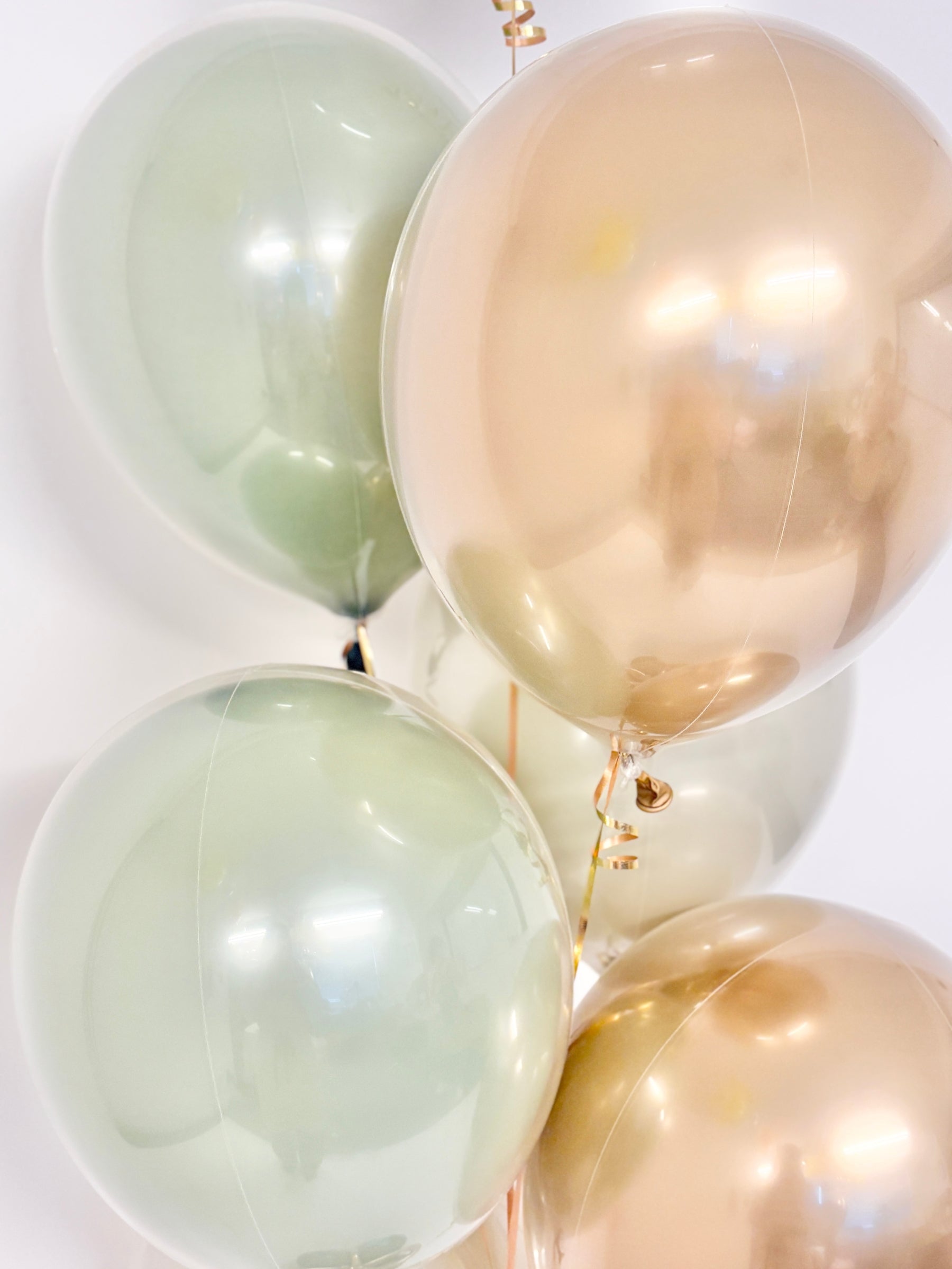 #色_ユーカリ/ゴールド