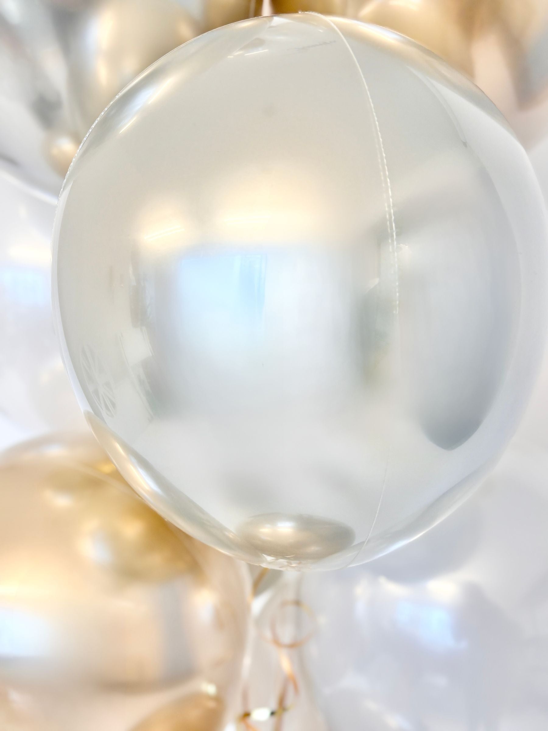 #色_ゴールド/ホワイト