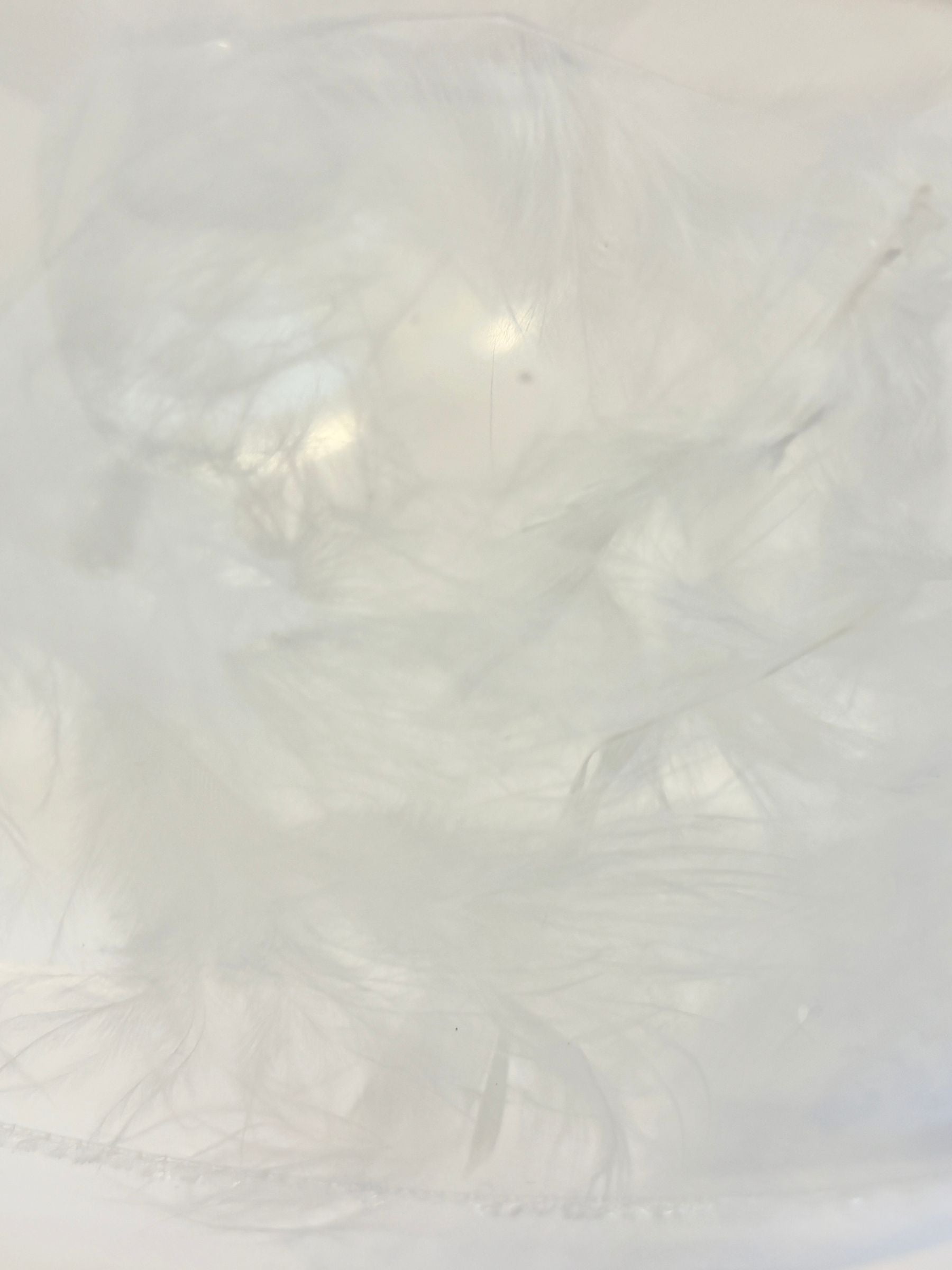 ギフトフォーユー（スター）