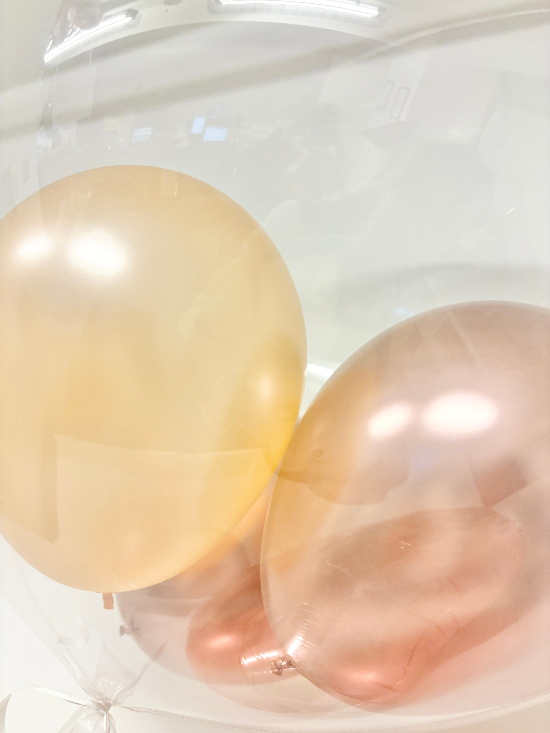 #色_ホワイト/サーモンピンク