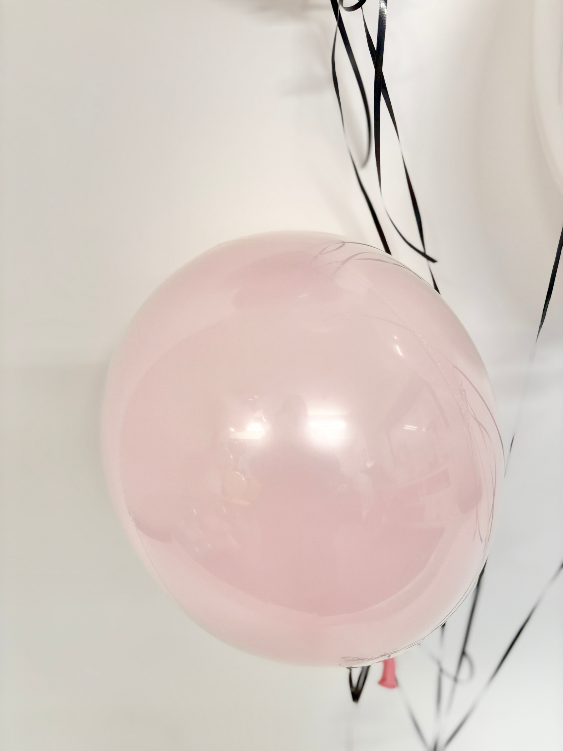 #色_シェルピンク