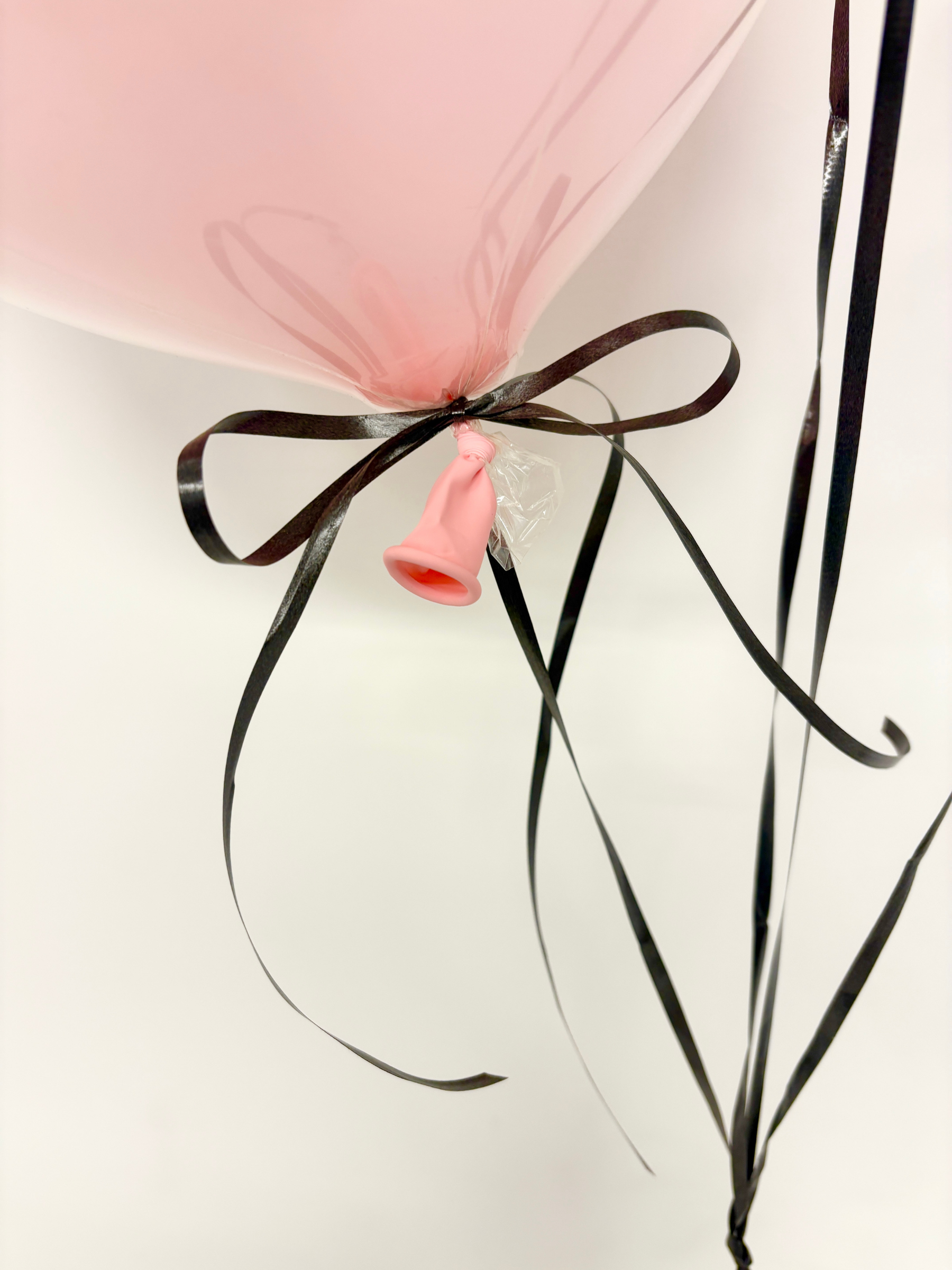 #色_シェルピンク